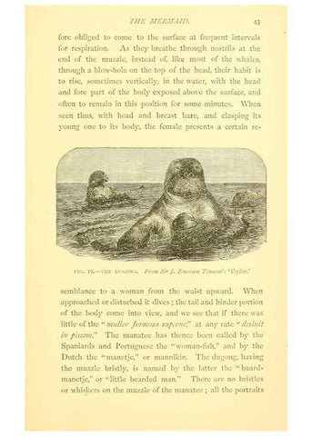 Reproducción/Reproduction 15584909821: Sea fables explained /. London :W. Clowes and sons, ltd.,1883.