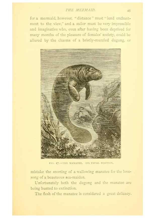 Reproducción/Reproduction 15588410422: Sea fables explained /. London :W. Clowes and sons, ltd.,1883.