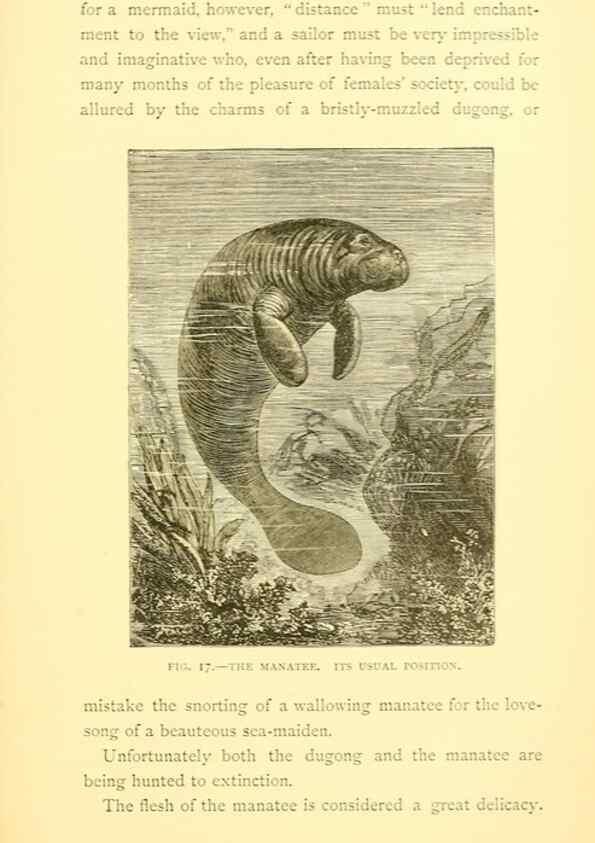 Reproducción/Reproduction 15588410422: Sea fables explained /. London :W. Clowes and sons, ltd.,1883.