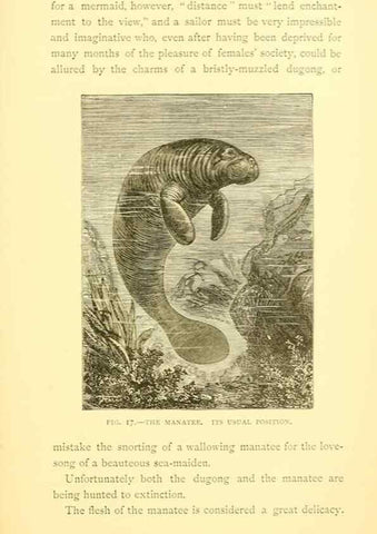 Reproducción/Reproduction 15588410422: Sea fables explained /. London :W. Clowes and sons, ltd.,1883.