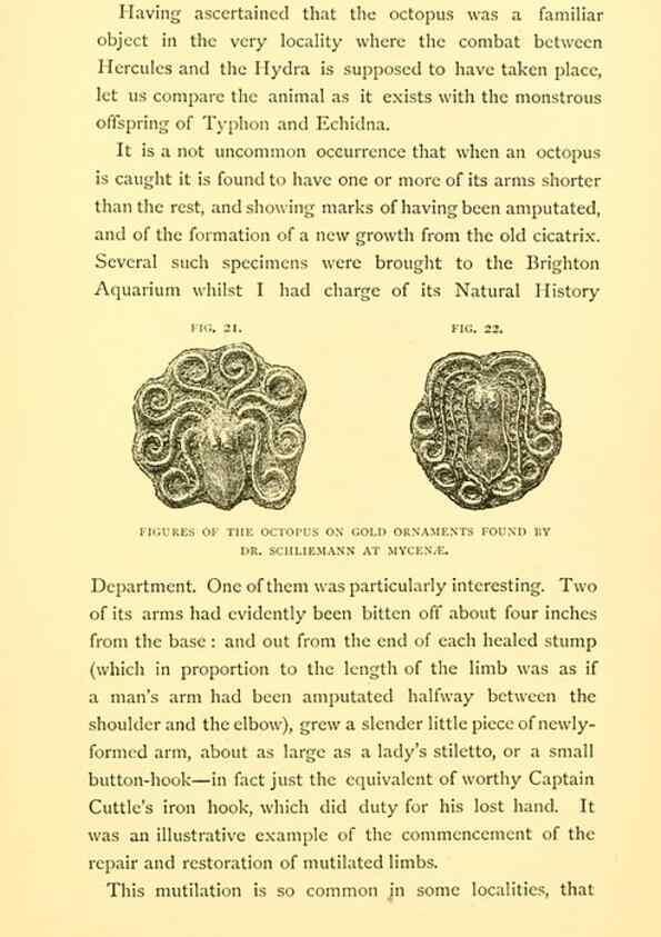 Reproducción/Reproduction 15587574235: Sea fables explained /. London :W. Clowes and sons, ltd.,1883.
