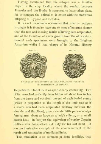 Reproducción/Reproduction 15587574235: Sea fables explained /. London :W. Clowes and sons, ltd.,1883.