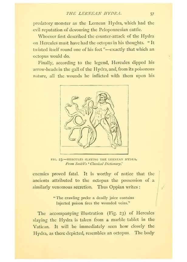Reproducción/Reproduction 14966833974: Sea fables explained /. London :W. Clowes and sons, ltd.,1883.