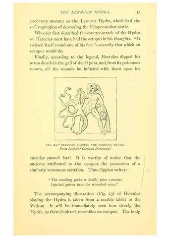 Reproducción/Reproduction 14966833974: Sea fables explained /. London :W. Clowes and sons, ltd.,1883.