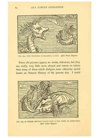 Reproducción/Reproduction 15400963629: Sea fables explained /. London :W. Clowes and sons, ltd.,1883.