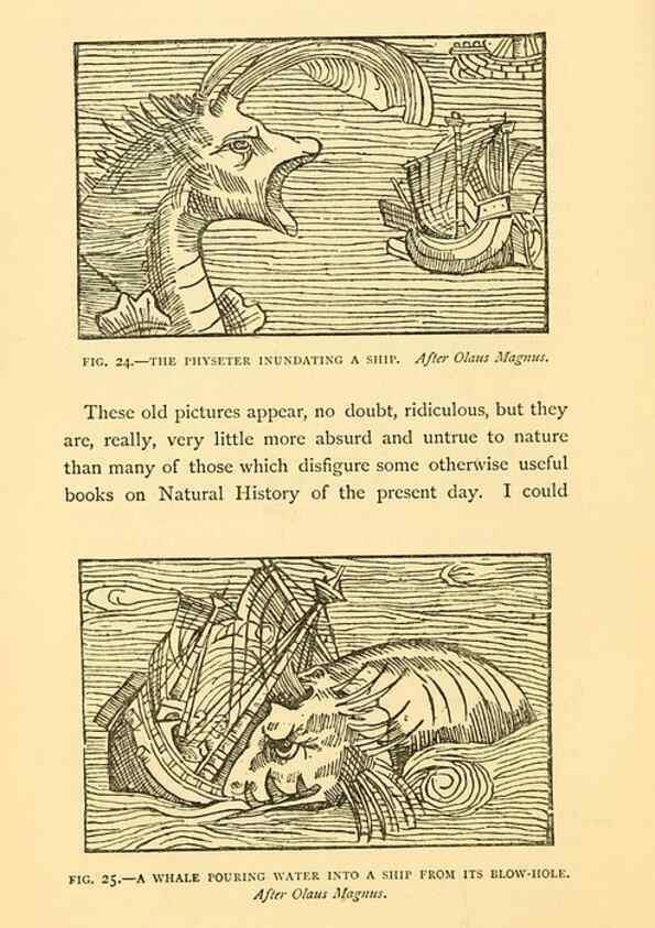 Reproducción/Reproduction 15400963629: Sea fables explained /. London :W. Clowes and sons, ltd.,1883.