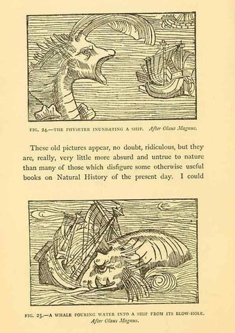 Reproducción/Reproduction 15400963629: Sea fables explained /. London :W. Clowes and sons, ltd.,1883.