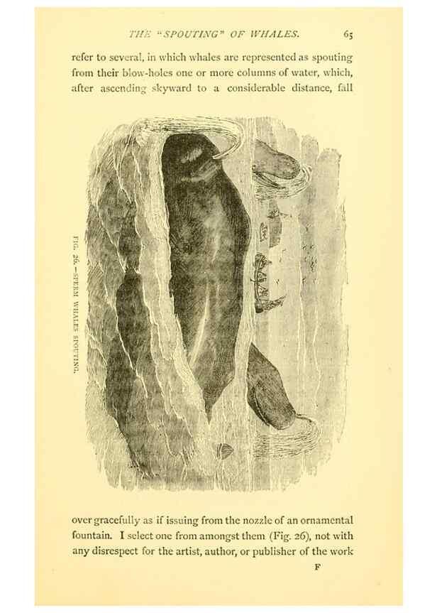 Reproducción/Reproduction 15401582917: Sea fables explained /. London :W. Clowes and sons, ltd.,1883.