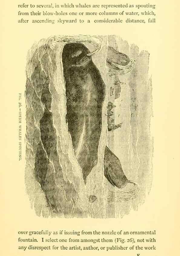 Reproducción/Reproduction 15401582917: Sea fables explained /. London :W. Clowes and sons, ltd.,1883.
