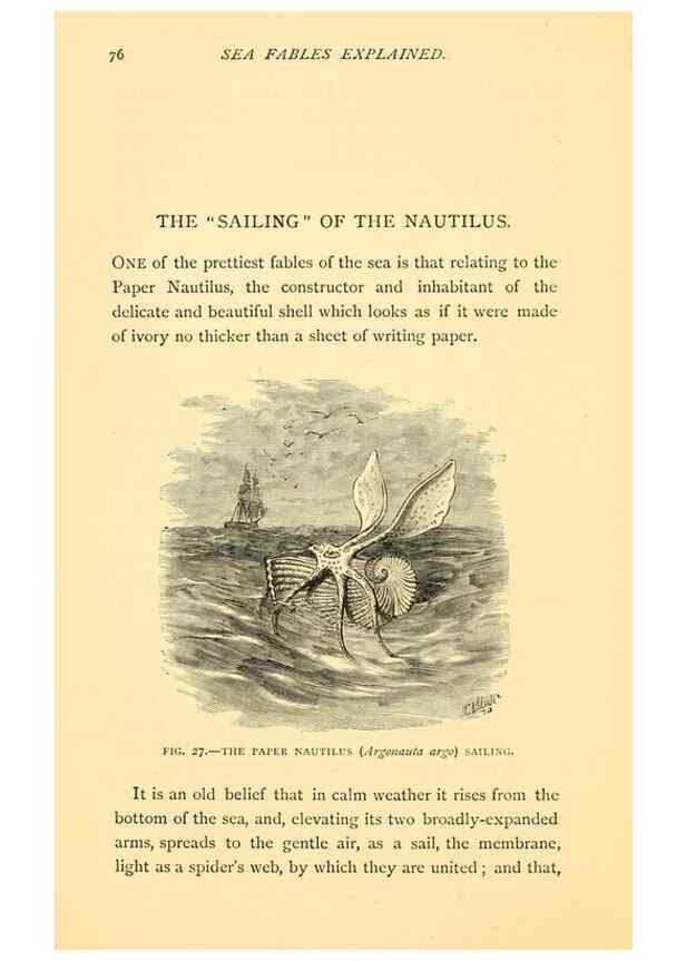 Reproducción/Reproduction 15588423962: Sea fables explained /. London :W. Clowes and sons, ltd.,1883.