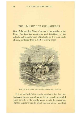 Reproducción/Reproduction 15588423962: Sea fables explained /. London :W. Clowes and sons, ltd.,1883.