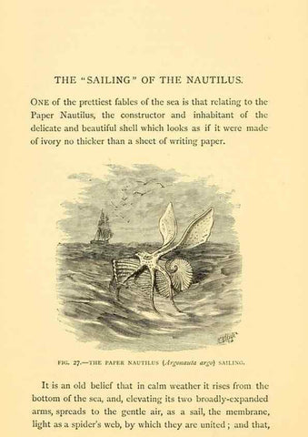 Reproducción/Reproduction 15588423962: Sea fables explained /. London :W. Clowes and sons, ltd.,1883.