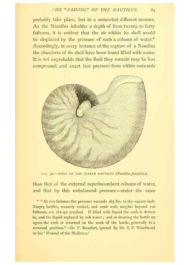 Reproducción/Reproduction 15563899666: Sea fables explained /. London :W. Clowes and sons, ltd.,1883.
