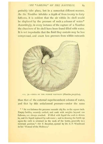 Reproducción/Reproduction 15563899666: Sea fables explained /. London :W. Clowes and sons, ltd.,1883.