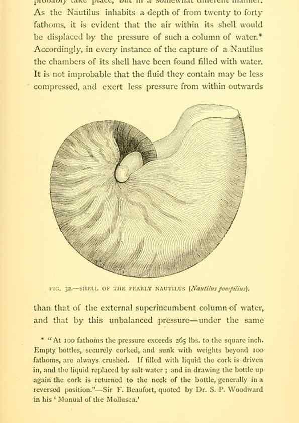 Reproducción/Reproduction 15563899666: Sea fables explained /. London :W. Clowes and sons, ltd.,1883.