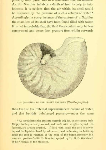 Reproducción/Reproduction 15563899666: Sea fables explained /. London :W. Clowes and sons, ltd.,1883.