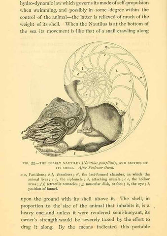 Reproducción/Reproduction 15584929491: Sea fables explained /. London :W. Clowes and sons, ltd.,1883.