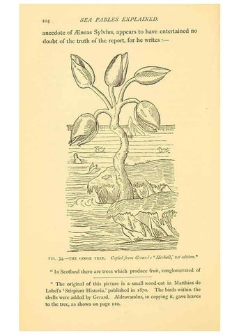 Reproducción/Reproduction 14966844834: Sea fables explained /. London :W. Clowes and sons, ltd.,1883.