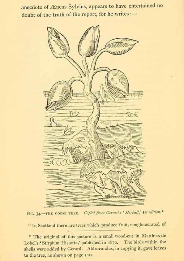 Reproducción/Reproduction 14966844834: Sea fables explained /. London :W. Clowes and sons, ltd.,1883.