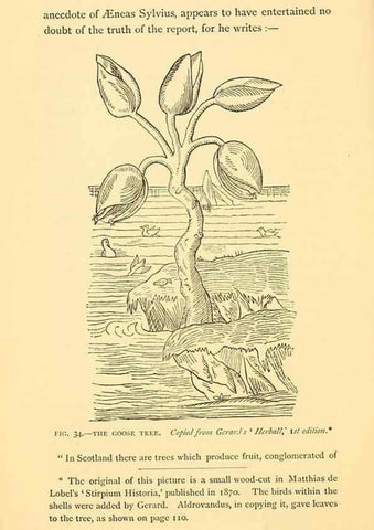 Reproducción/Reproduction 14966844834: Sea fables explained /. London :W. Clowes and sons, ltd.,1883.