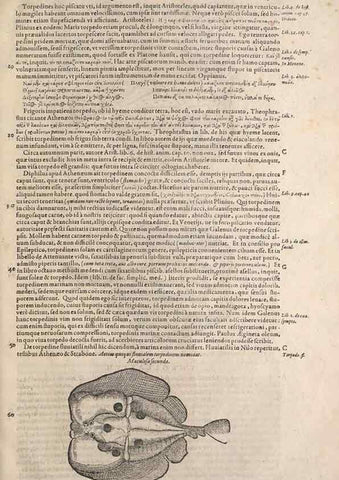 Reproducción/Reproduction 15545716466: Conradi Gesneri medici Tigurini Historiae animalium liber IV :. Francofurti :In Bibliopolio Andreae Cambieri,anno MDCIIII [1604]