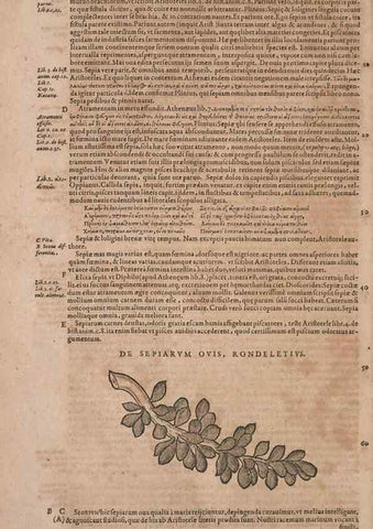Reproducción/Reproduction 15383135728: Conradi Gesneri medici Tigurini Historiae animalium liber IV :. Francofurti :In Bibliopolio Andreae Cambieri,anno MDCIIII [1604]