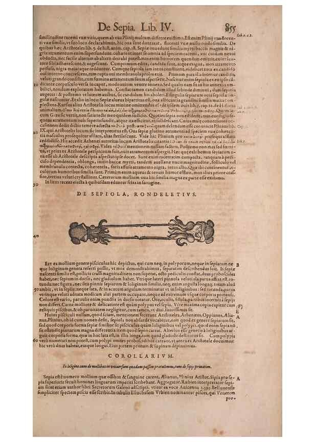 Reproducción/Reproduction 15382657179: Conradi Gesneri medici Tigurini Historiae animalium liber IV :. Francofurti :In Bibliopolio Andreae Cambieri,anno MDCIIII [1604]