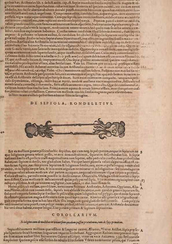 Reproducción/Reproduction 15382657179: Conradi Gesneri medici Tigurini Historiae animalium liber IV :. Francofurti :In Bibliopolio Andreae Cambieri,anno MDCIIII [1604]