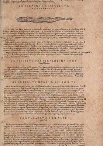 Reproducción/Reproduction 15570135962: Conradi Gesneri medici Tigurini Historiae animalium liber IV :. Francofurti :In Bibliopolio Andreae Cambieri,anno MDCIIII [1604]