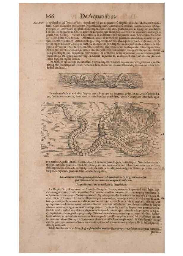 Reproducción/Reproduction 15545596106: Conradi Gesneri medici Tigurini Historiae animalium liber IV :. Francofurti :In Bibliopolio Andreae Cambieri,anno MDCIIII [1604]
