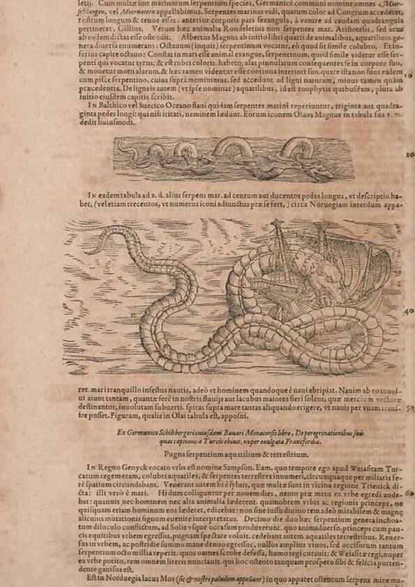 Reproducción/Reproduction 15545596106: Conradi Gesneri medici Tigurini Historiae animalium liber IV :. Francofurti :In Bibliopolio Andreae Cambieri,anno MDCIIII [1604]