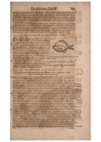 Reproducción/Reproduction 15383669460: Conradi Gesneri medici Tigurini Historiae animalium liber IV :. Francofurti :In Bibliopolio Andreae Cambieri,anno MDCIIII [1604]
