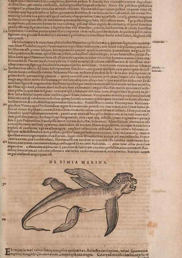 Reproducción/Reproduction 14949134183: Conradi Gesneri medici Tigurini Historiae animalium liber IV :. Francofurti :In Bibliopolio Andreae Cambieri,anno MDCIIII [1604]