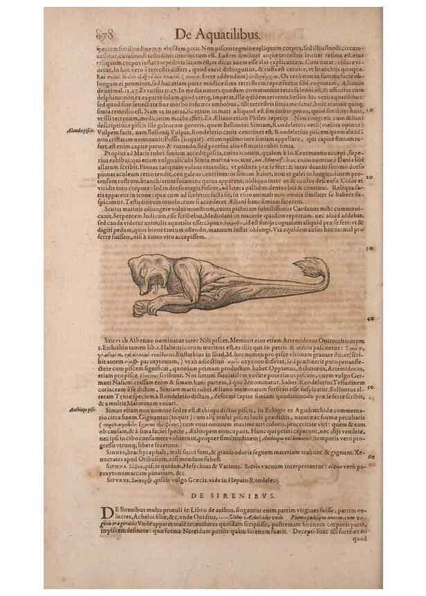 Reproducción/Reproduction 14948563064: Conradi Gesneri medici Tigurini Historiae animalium liber IV :. Francofurti :In Bibliopolio Andreae Cambieri,anno MDCIIII [1604]