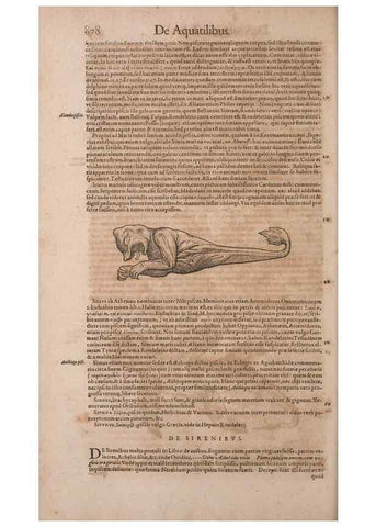 Reproducción/Reproduction 14948563064: Conradi Gesneri medici Tigurini Historiae animalium liber IV :. Francofurti :In Bibliopolio Andreae Cambieri,anno MDCIIII [1604]