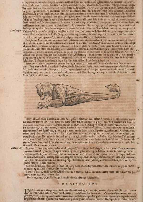 Reproducción/Reproduction 14948563064: Conradi Gesneri medici Tigurini Historiae animalium liber IV :. Francofurti :In Bibliopolio Andreae Cambieri,anno MDCIIII [1604]