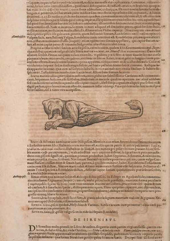 Reproducción/Reproduction 14948563064: Conradi Gesneri medici Tigurini Historiae animalium liber IV :. Francofurti :In Bibliopolio Andreae Cambieri,anno MDCIIII [1604]