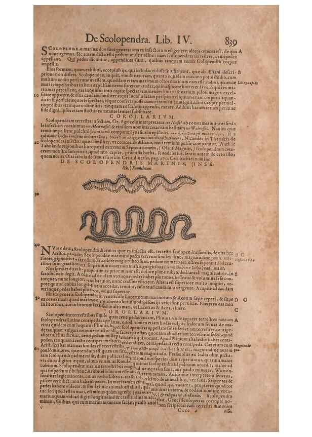 Reproducción/Reproduction 14949101223: Conradi Gesneri medici Tigurini Historiae animalium liber IV :. Francofurti :In Bibliopolio Andreae Cambieri,anno MDCIIII [1604]
