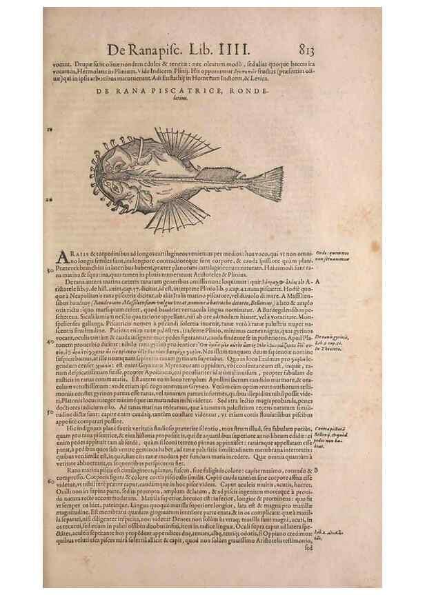 Reproducción/Reproduction 14949063573: Conradi Gesneri medici Tigurini Historiae animalium liber IV :. Francofurti :In Bibliopolio Andreae Cambieri,anno MDCIIII [1604]