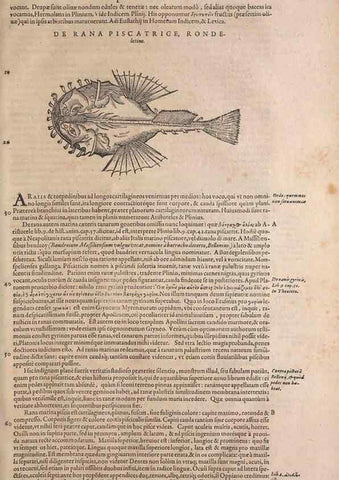 Reproducción/Reproduction 14949063573: Conradi Gesneri medici Tigurini Historiae animalium liber IV :. Francofurti :In Bibliopolio Andreae Cambieri,anno MDCIIII [1604]