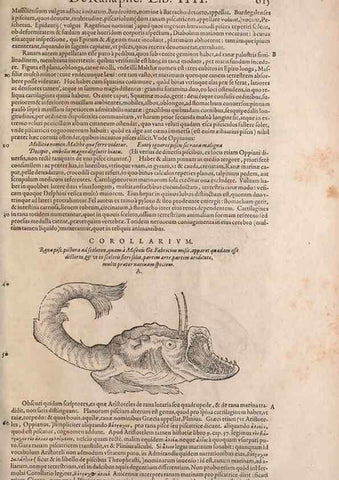 Reproducción/Reproduction 14949065643: Conradi Gesneri medici Tigurini Historiae animalium liber IV :. Francofurti :In Bibliopolio Andreae Cambieri,anno MDCIIII [1604]