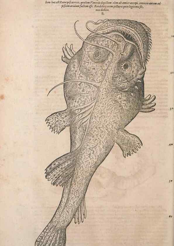 Reproducción/Reproduction 15545539616: Conradi Gesneri medici Tigurini Historiae animalium liber IV :. Francofurti :In Bibliopolio Andreae Cambieri,anno MDCIIII [1604]