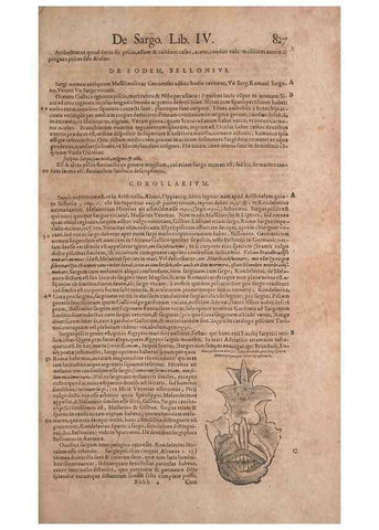 Reproducción/Reproduction 15383255547: Conradi Gesneri medici Tigurini Historiae animalium liber IV :. Francofurti :In Bibliopolio Andreae Cambieri,anno MDCIIII [1604]