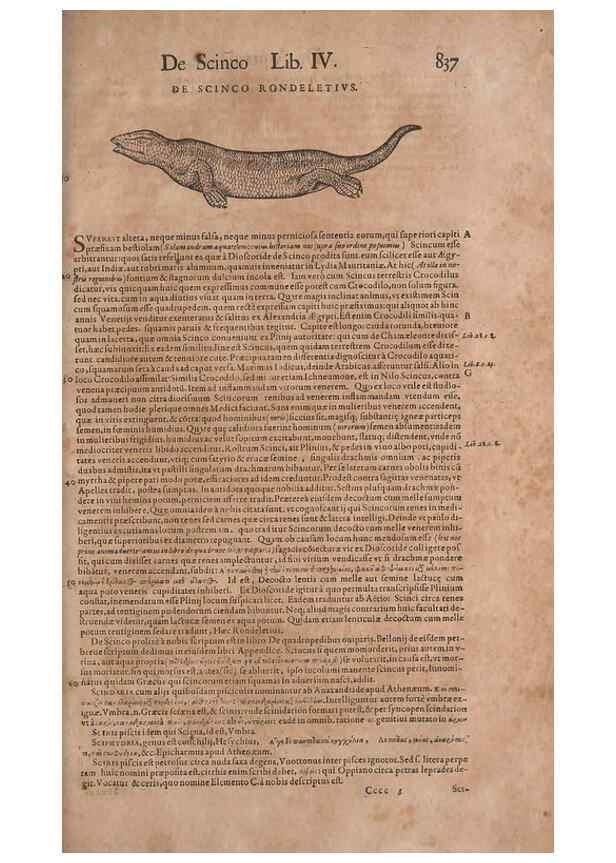 Reproducción/Reproduction 15566603071: Conradi Gesneri medici Tigurini Historiae animalium liber IV :. Francofurti :In Bibliopolio Andreae Cambieri,anno MDCIIII [1604]