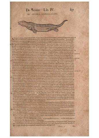 Reproducción/Reproduction 15566603071: Conradi Gesneri medici Tigurini Historiae animalium liber IV :. Francofurti :In Bibliopolio Andreae Cambieri,anno MDCIIII [1604]