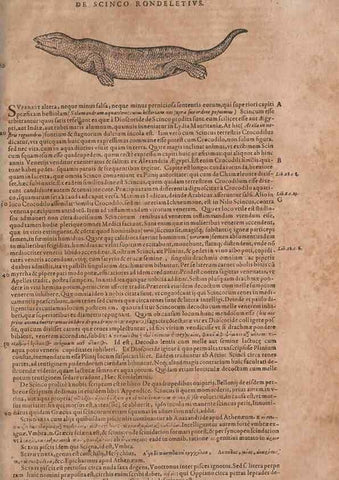 Reproducción/Reproduction 15566603071: Conradi Gesneri medici Tigurini Historiae animalium liber IV :. Francofurti :In Bibliopolio Andreae Cambieri,anno MDCIIII [1604]