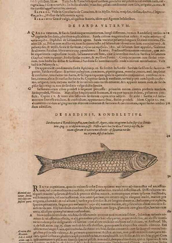 Reproducción/Reproduction 15382622509: Conradi Gesneri medici Tigurini Historiae animalium liber IV :. Francofurti :In Bibliopolio Andreae Cambieri,anno MDCIIII [1604]