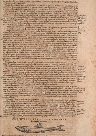 Reproducción/Reproduction 15545617386: Conradi Gesneri medici Tigurini Historiae animalium liber IV :. Francofurti :In Bibliopolio Andreae Cambieri,anno MDCIIII [1604]