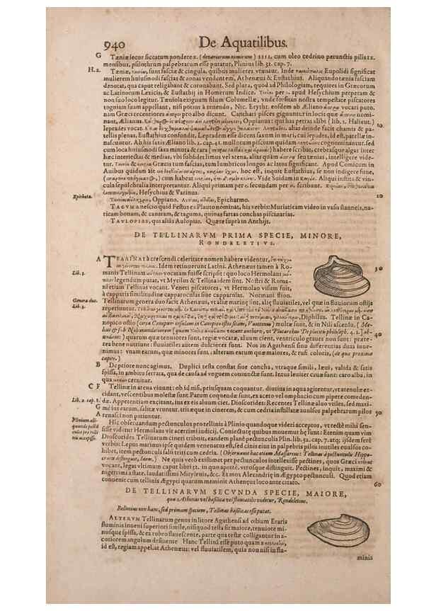 Reproducción/Reproduction 14948617424: Conradi Gesneri medici Tigurini Historiae animalium liber IV :. Francofurti :In Bibliopolio Andreae Cambieri,anno MDCIIII [1604]