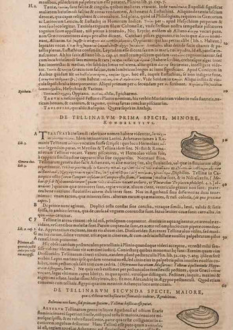 Reproducción/Reproduction 14948617424: Conradi Gesneri medici Tigurini Historiae animalium liber IV :. Francofurti :In Bibliopolio Andreae Cambieri,anno MDCIIII [1604]